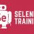 Best Selenium Online Training Institute with Live Project - Selenium Labs