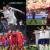 Serbia vs England Tickets: Serbia's Return to Euro Cup 2024, A Look at Key Players and Historic Milestones