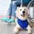 service animal travel | service animal travel | pdscenter