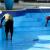 swimming pool maintenance service in mumbai