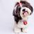 Shih Tzu - Facts & Information | mywagntails
