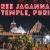 Shree Jagannath Temple, Puri - WriteUpCafe.com