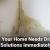 Signs Your Home Needs Drainage Solutions Immediately