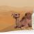 Buy Camel Milk | Best Camel Milk in Delhi &amp; Gurgaon - Camilch