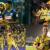 Sri Lanka Vs South Africa: Pathirana Changes the Game Against Malinga&#8217;s Mumbai &#8211; Euro 2024 Tickets | Euro Cup 2024 Tickets | T20 Cricket World Cup Tickets | T20 World Cup 2024 Tickets |  England vs Brazil Tickets | Tyson Fury vs Oleksandr Usyk Tickets