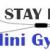 Stay Fit Mini Gym | All In One Mini Fitness Gym