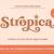 Stropica Font Free Download Similar | FreeFontify