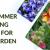 7 Top Summer Bedding Plants For Your Garden - Plantora