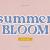 Summer Bloom Font Free Download Similar | FreeFontify