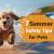7 Summer Safety Tips for Pets