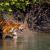 Wonderful Sundarban Package Tour Booking - Kolkata to Kolkata - Best Rate Guaranteed