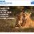 Tata Large & Mid Cap Mutual Fund