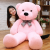 Giant Teddy Bears, The Best Present For Your Close Ones! &#8211; Boo Bear Factory