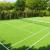 Tennis Court - Surekha