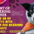 The Art of Pampering Pooches: K9 Heaven Dog Boarding &amp; Holidays Unveiled