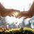 Online Psychologist | +91 9999344415 | Holistic Healing Centre