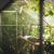 ‘Greenhouse Farming Should Be Well-Planned Business’ | Outlook Krishi