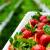 Người dùng săn lùng dâu tây Úc nhập khẩu | Fuji Fruit  | Hệ thống hoa quả sạch nhập khẩu Fuji