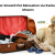 Tips for Smooth Pet Relocation via Packers and Movers