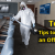 Top 7 Tips to Disinfect an Office Space | Darks