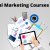 Top 8 Digital Marketing Courses In Dublin With Placements - IIM SKILLS