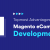 Topmost advantages of Magento eCommerce development