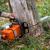 Tree Removal Service | Tree Removal - Forest Hill Forestry