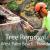 Tree Removal West Palm Beach, FL - Cheap Tree Stump, Root, and  Branch Removal Services