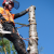 Tree Surgeon  East Sussex