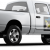 Bed Bug Exterminator Forest 