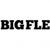 Bigflex: Unleashing the Power of Strength and Flexibility| Reward Eagle