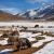 Hemis National Park - Ladakh, India - WriteUpCafe.com