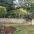 Garden Clearance: Benefits of Hiring a Professional Garden Clearance Services &#8211; Rubbish and Garden Clearance &#8211; London &amp; Surrey