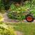 Qualified garden clearance in London &#8211; clear the lot