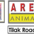 Premier Animation, VFX and Gaming Classes in Pune - Arena Animation