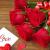 Rose Day Gifts Online | Roses for Rose Day | Rose Day Flowers - MyFlowerTree