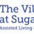 Assisted Living Plus - Higher Level of Care | The Village At Sugarland