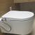 Bidet Toilet Seat Water Warming Systems