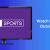 How to Watch beIN Sports (Outside the US) Abroad in 2022? - Karookeen