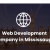 Custom Web Development Company in Mississauga