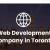 Leading Web Development Company in Toronto