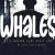 Whales Font Free Download OTF TTF | DLFreeFont