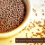 What Are Mustard Seeds And How They Are Used Food and Drink