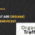 What are organic SEO services