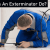 What Does An Exterminator Do? - TheOmniBuzz