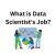 WHAT IS DATA SCIENTIST’S JOB?