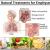 9 Natural Treatments for Emphysema to Recover Lung Function - Herbs Solutions By Nature