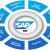 What Makes SAP The Best ERP?
