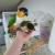 Home - Pet Bird Breeders