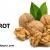 Akhrot - Juglans regia Types, Properties, Uses and benefits